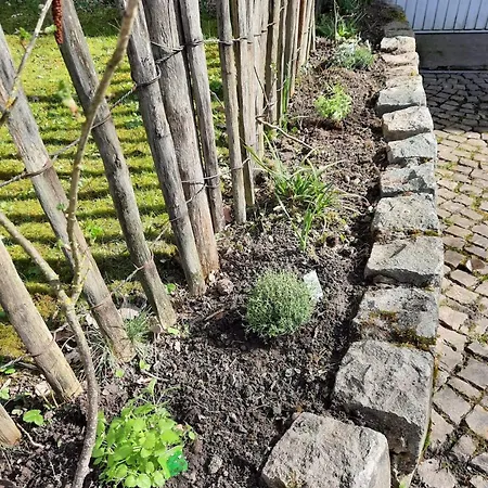 Scottish Wood